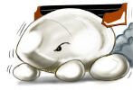 oeuf-course